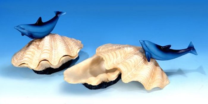 DOLT4046 Dolphin on Clam Shell 2 asst